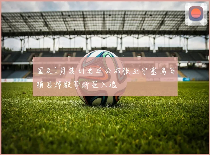 国足1月集训名单公布张玉宁塞鸟马镇吕焯毅等新星入选