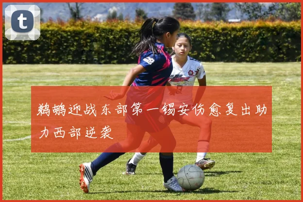 鹈鹕迎战东部第一锡安伤愈复出助力西部逆袭