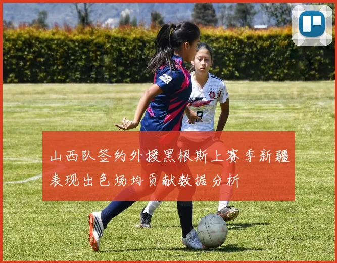 山西队签约外援黑根斯上赛季新疆表现出色场均贡献数据分析
